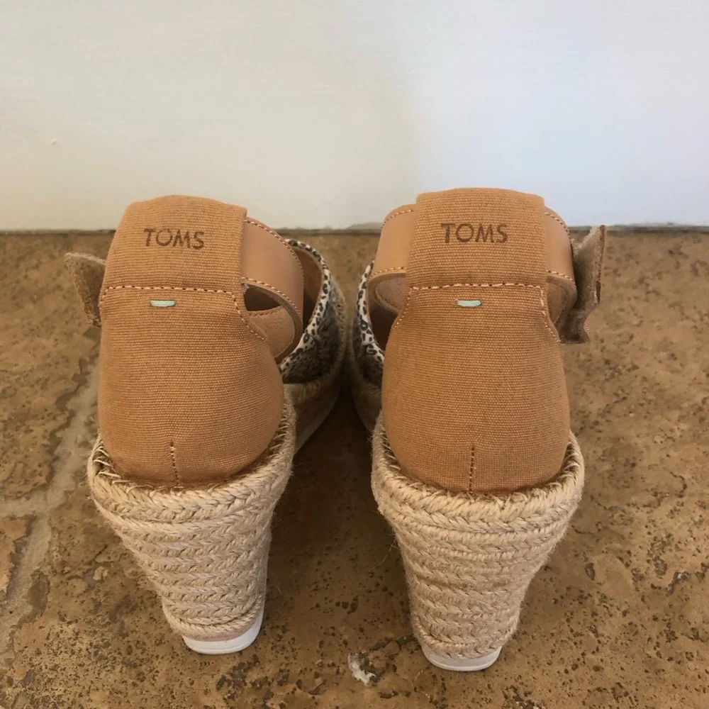 Toms from afternoon